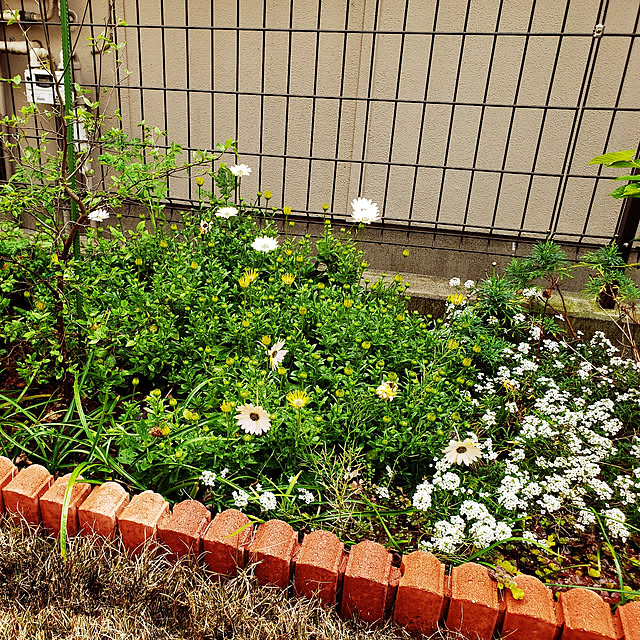 masaさんの実例写真