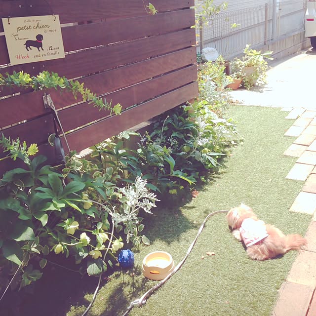 risaさんの実例写真