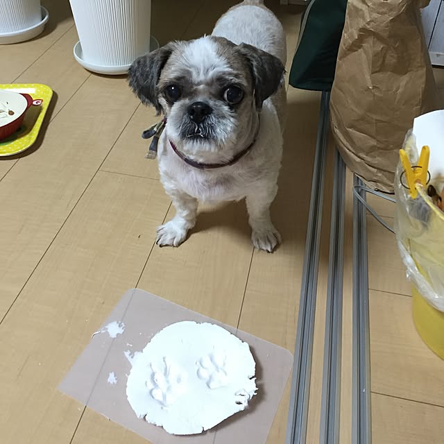 emiさんの実例写真