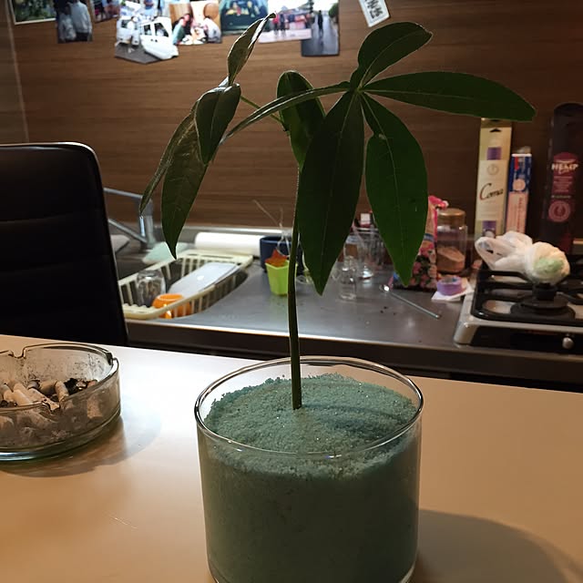 kenjiro_comさんの実例写真