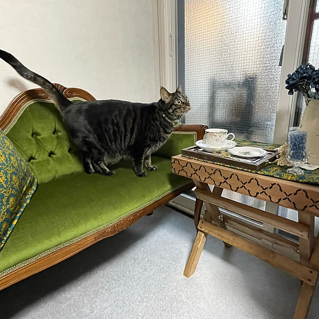 momocchiさんの部屋