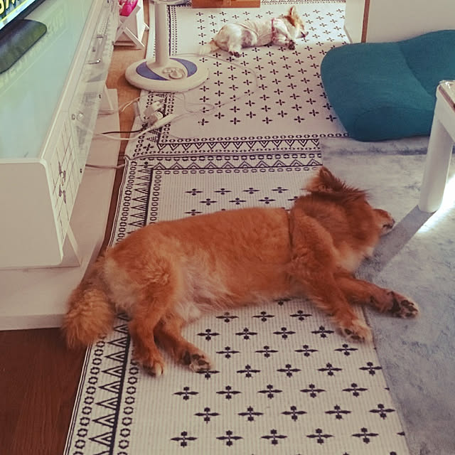 samansaさんの実例写真