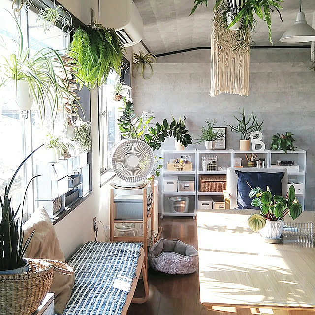 hira_muji_mihiさんの実例写真