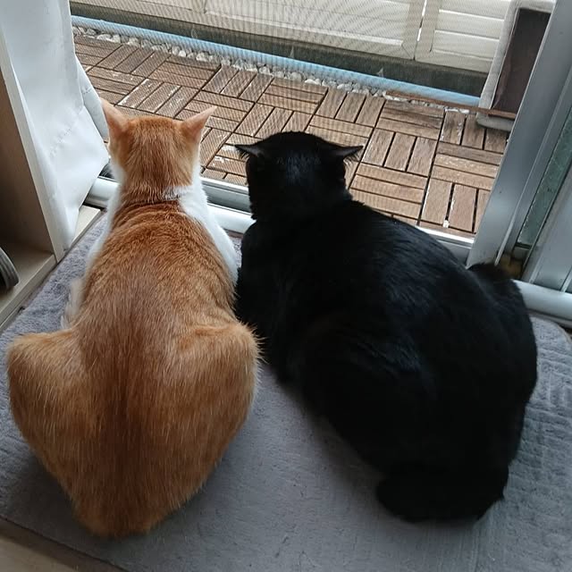 Tさんの実例写真
