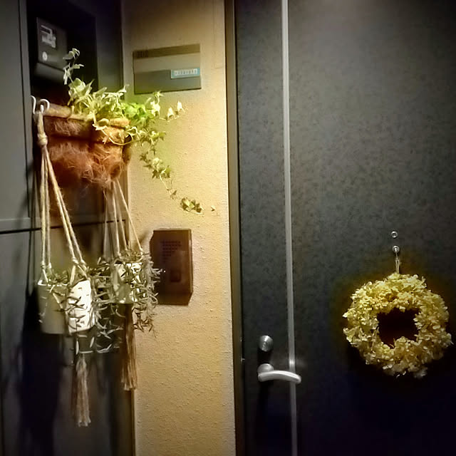noaさんの実例写真