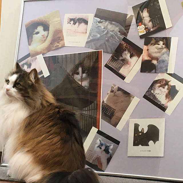 uraraさんの実例写真