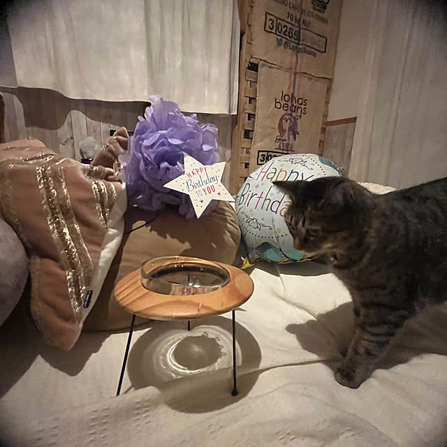 Mさんの部屋