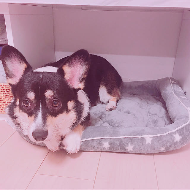 Ruiさんの実例写真