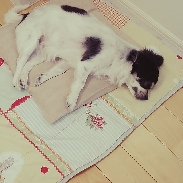 yukkoさんの実例写真