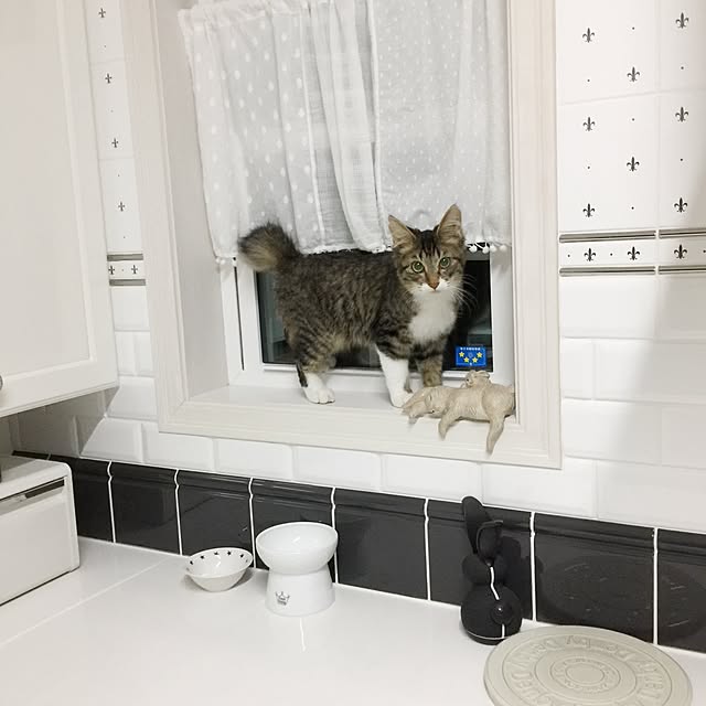 yuchiさんの実例写真
