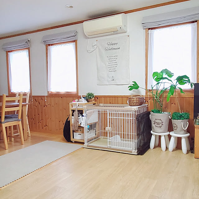 satosanさんの実例写真