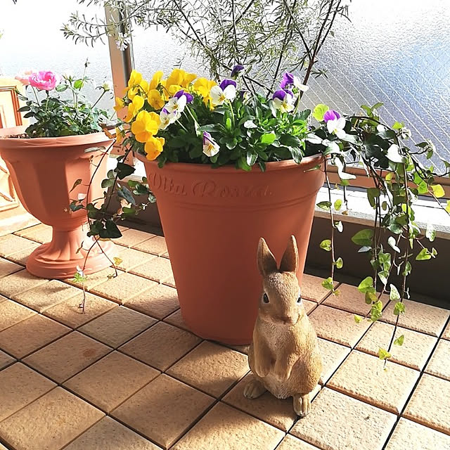 kotoripさんの実例写真