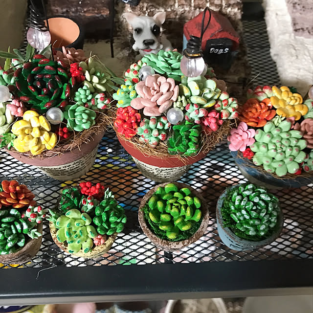 雑貨/ガーデニング/ハンドメイド/多肉植物/棚のインテリア実例 - 2021-05-18 00:19:06