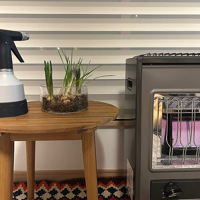 hatsugaさんの部屋