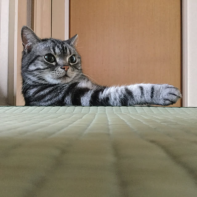 richanさんの実例写真