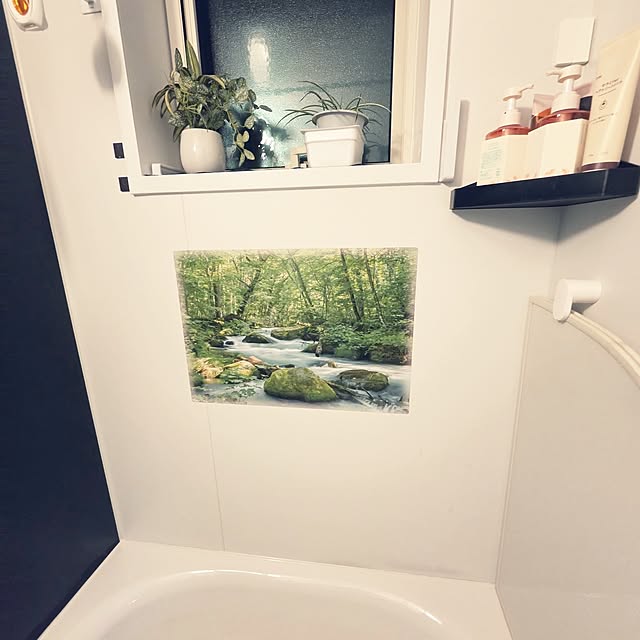 8393さんの実例写真