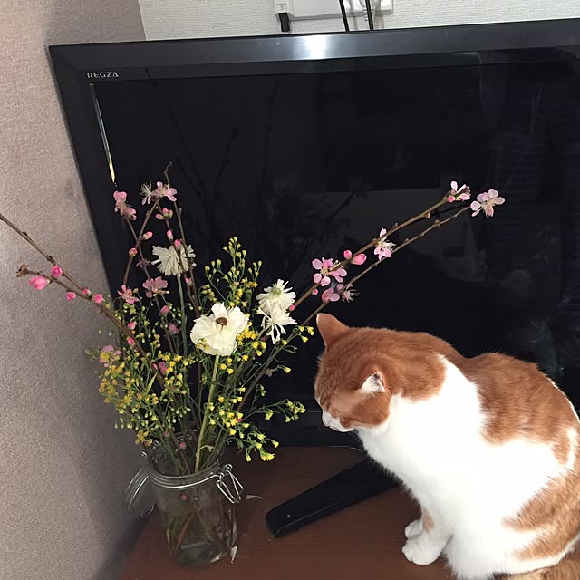 nanonさんの実例写真