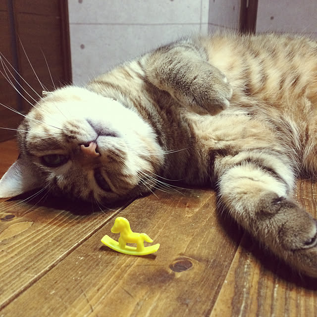 annさんの実例写真