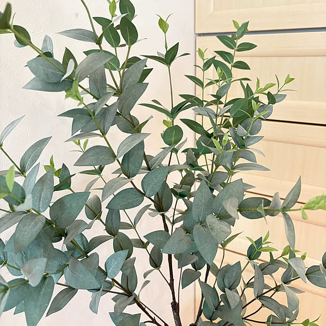 chobisukeさんの部屋