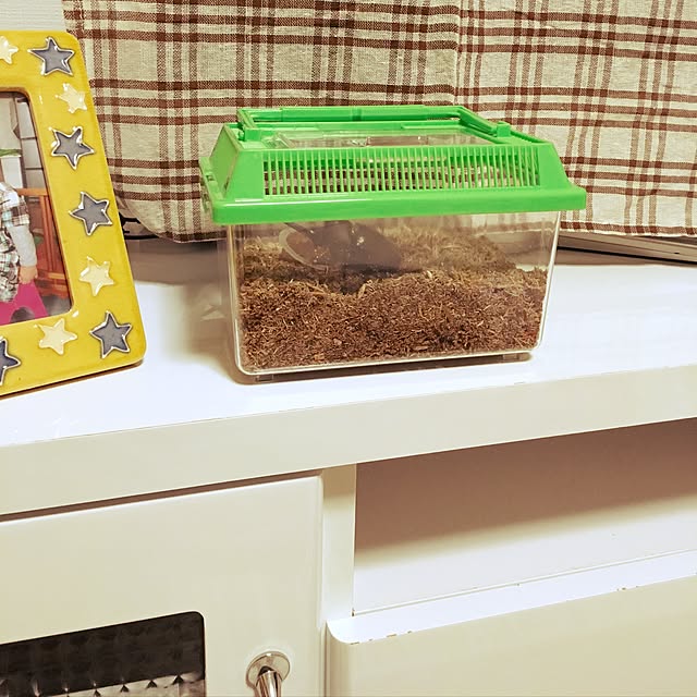 Haruさんの実例写真