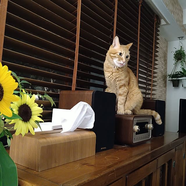 okyosan101さんの実例写真