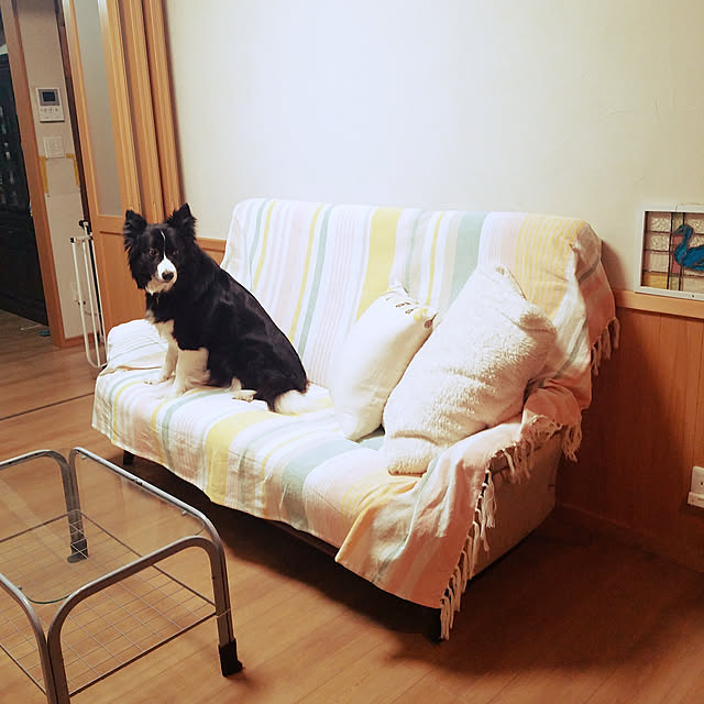 kirakira101711さんの実例写真