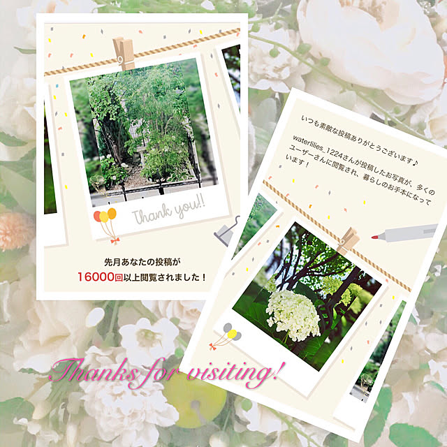 waterlilies_1224さんの実例写真