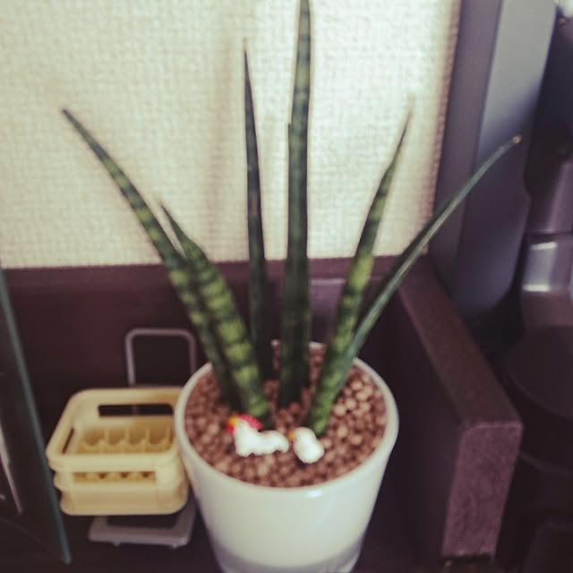 YUKIさんの実例写真