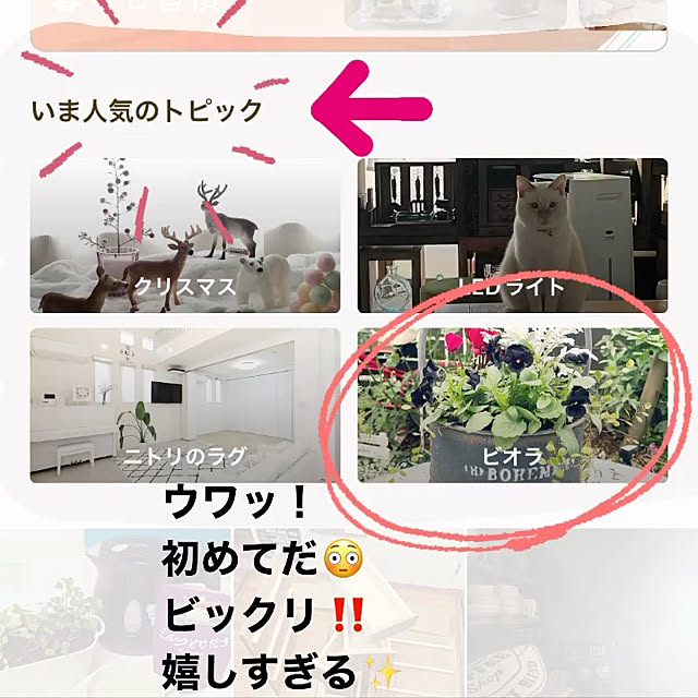 mayumiさんの実例写真