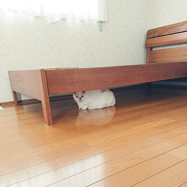 nachiさんの実例写真