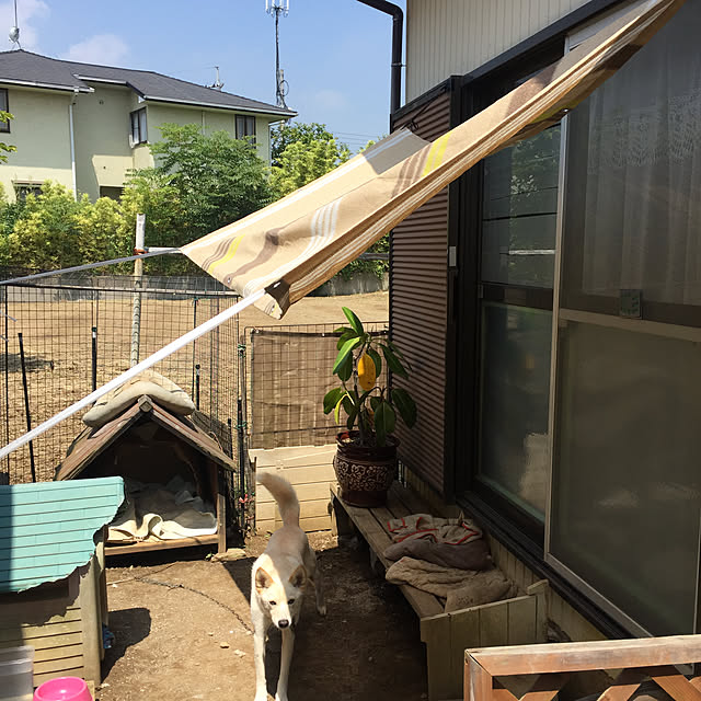 tanboさんの部屋