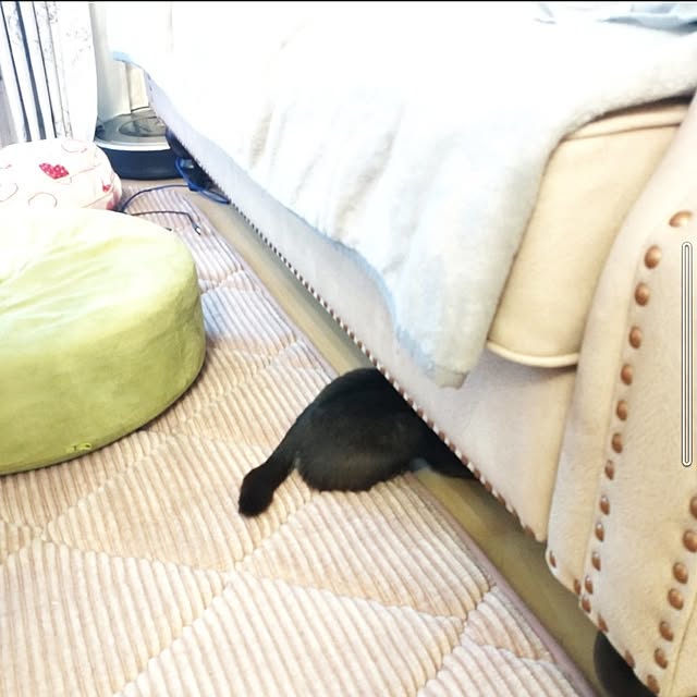 Bienvenueさんの実例写真