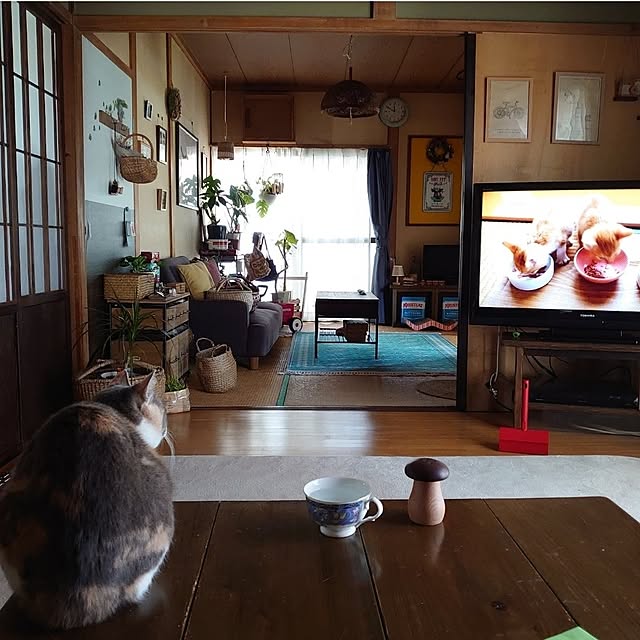 fukuさんの実例写真