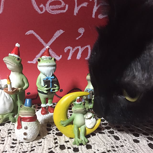 vivienne.coco-keiさんの実例写真