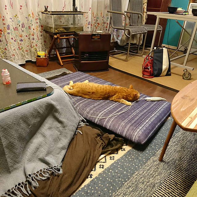 okyosan101さんの実例写真