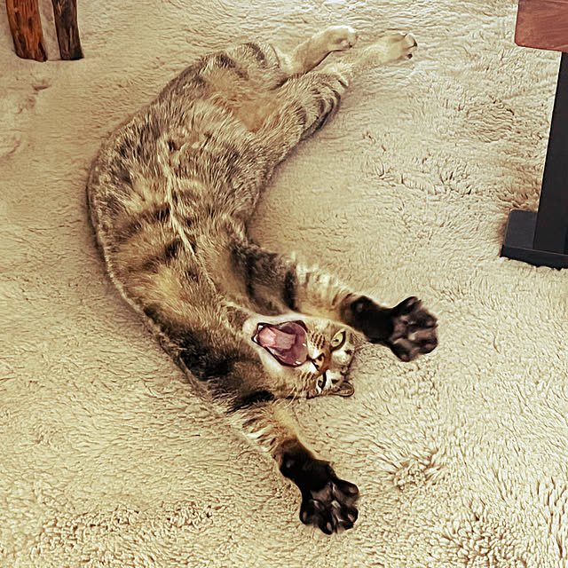 Mさんの実例写真