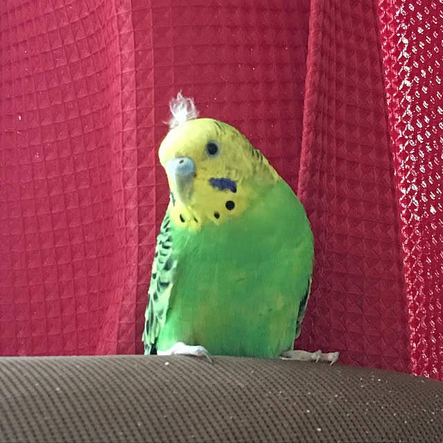 hikaさんの実例写真