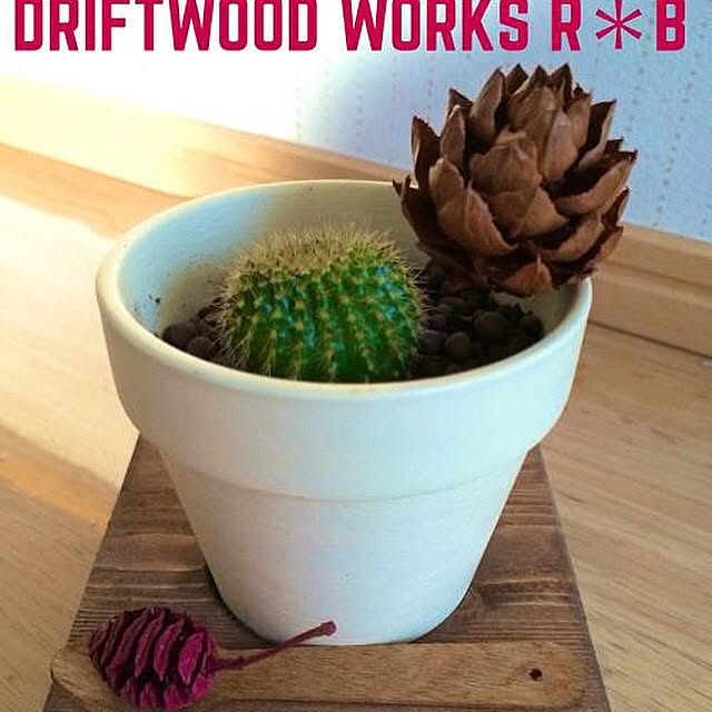 RYUBOKKURIさんの実例写真