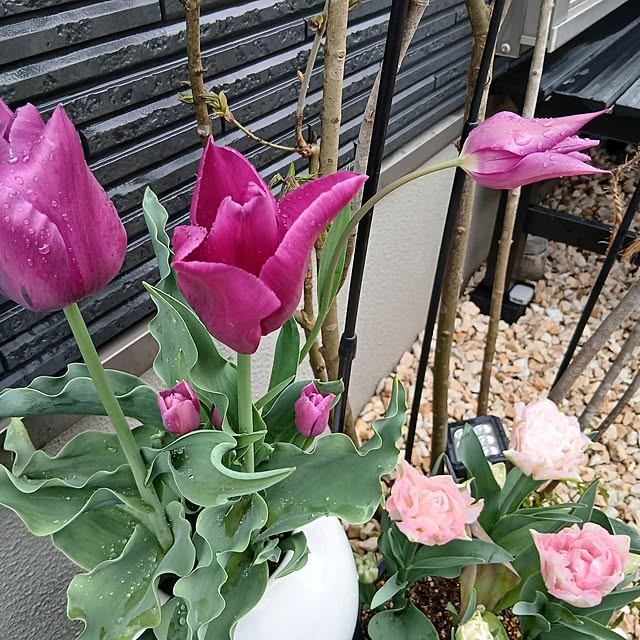 kaanaさんの部屋