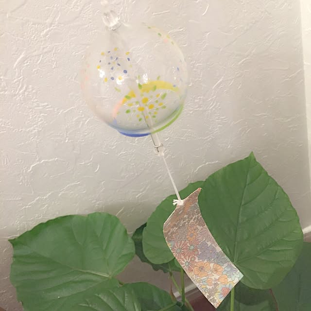 amu_ruさんの実例写真