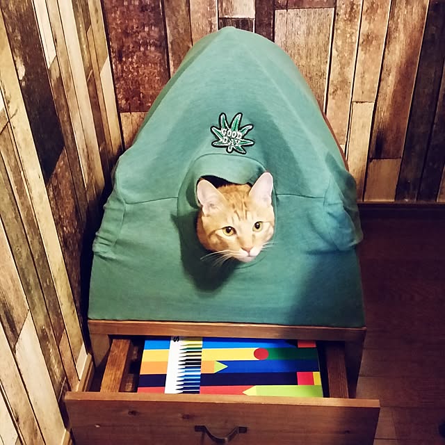 kichiさんの実例写真