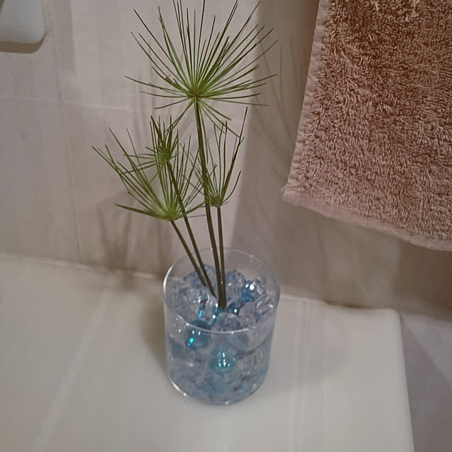 minchiさんの実例写真