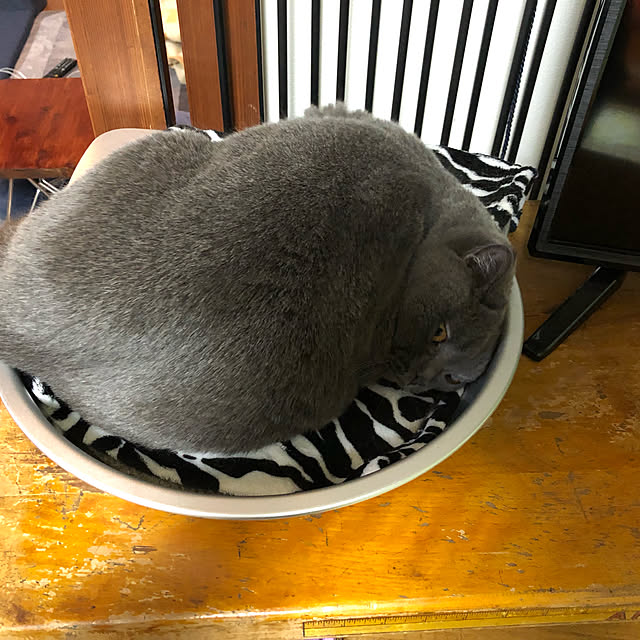Shojiさんの実例写真