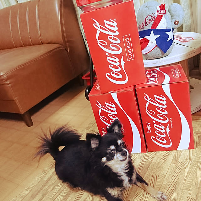 haruharuさんの実例写真