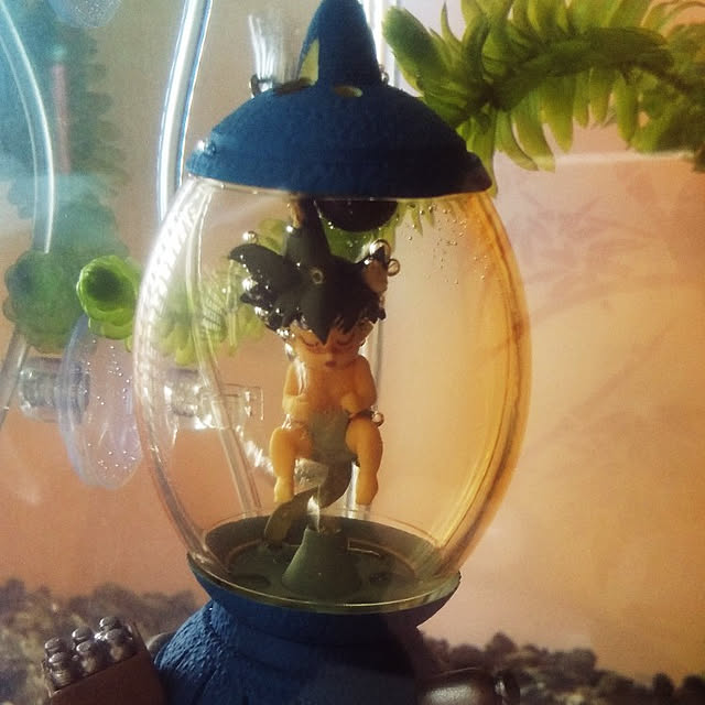 kurtさんの実例写真