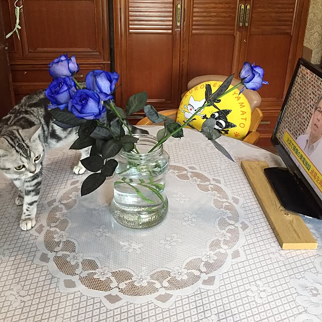 tanutanさんの実例写真