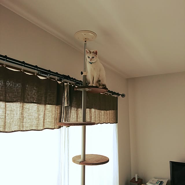 hyrax526さんの実例写真