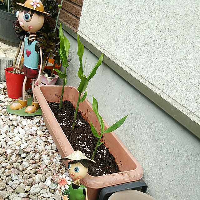 denkoさんの実例写真