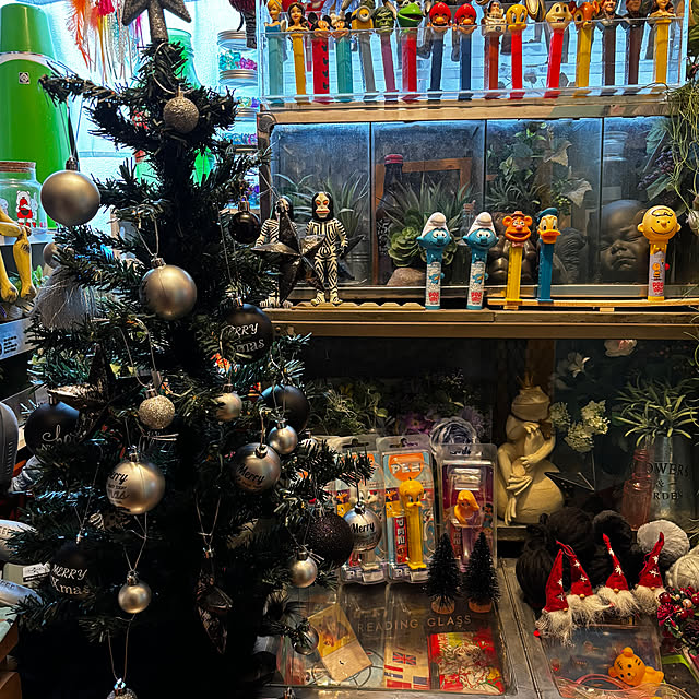 机/ガラスケース/モノトーンツリー/PEZ/クリスマス...などのインテリア実例 - 2024-11-30 14:33:17