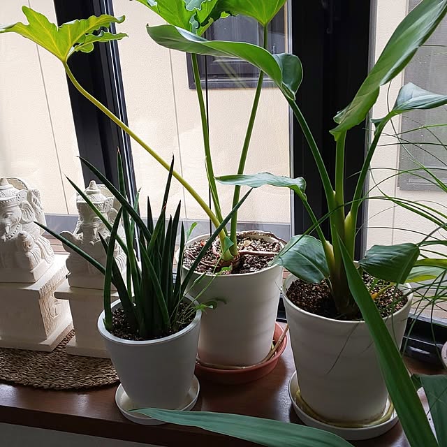 yumiyumiさんの部屋